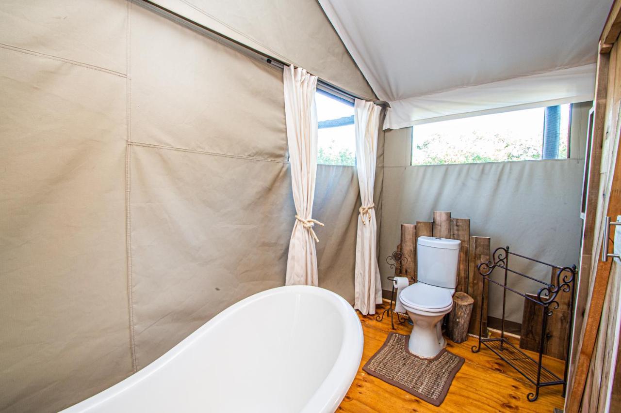 Mountain View Safari Lodge هويدزبروت المظهر الخارجي الصورة