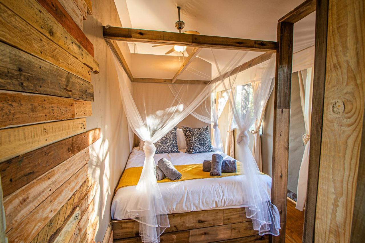 Mountain View Safari Lodge هويدزبروت المظهر الخارجي الصورة