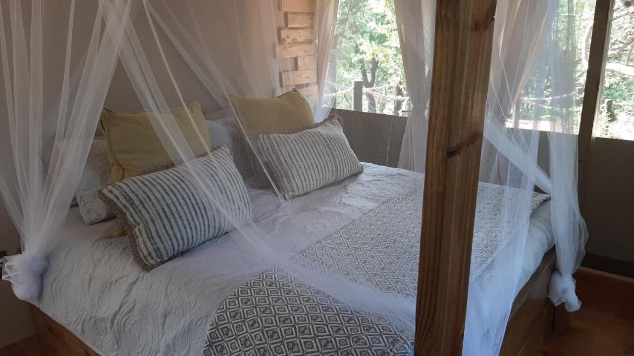 Mountain View Safari Lodge هويدزبروت المظهر الخارجي الصورة